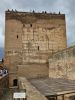 PICTURES/Granada - Alhambra - Alcazaba Fortress/t_20231102_123426.jpg
